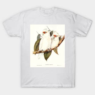 Long-billed Cockatoo (Licmetis nasicus) T-Shirt